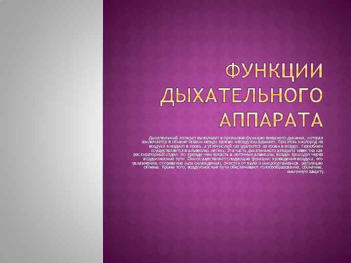 Дыхательный аппарат выполняет в организме функцию внешнего дыхания, которая заключается в обмене газами между