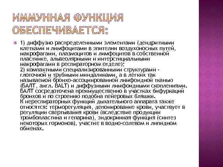  1) диффузно распределенными элементами (дендритными клетками и лимфоцитами в эпителии воздухоносных путей, макрофагами,