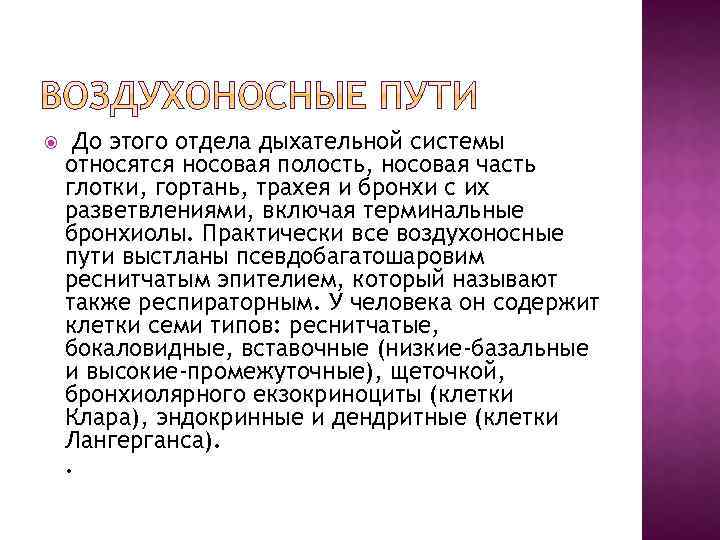  До этого отдела дыхательной системы относятся носовая полость, носовая часть глотки, гортань, трахея