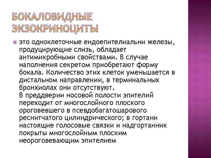  это одноклеточные ендоепителиальни железы, продуцирующие слизь, обладает антимикробными свойствами. В случае наполнения секретом