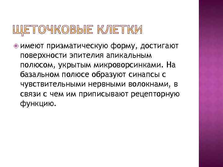  имеют призматическую форму, достигают поверхности эпителия апикальным полюсом, укрытым микроворсинками. На базальном полюсе