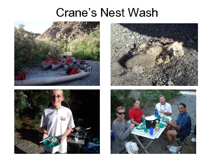 Crane’s Nest Wash 
