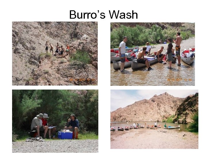 Burro’s Wash 
