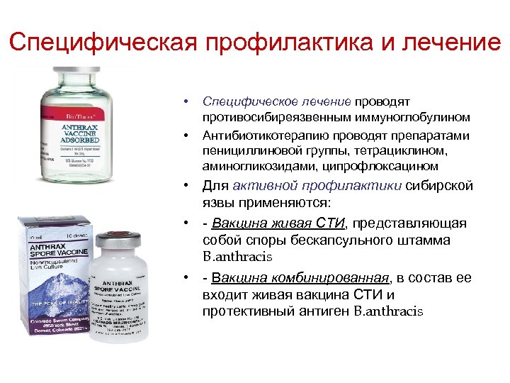 Специфическая профилактика и лечение • • Специфическое лечение проводят противосибиреязвенным иммуноглобулином Антибиотикотерапию проводят препаратами