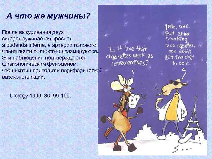А что же мужчины? После выкуривания двух сигарет суживается просвет a. pudenda interna, а