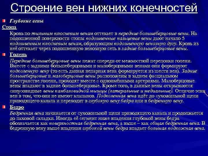 Строение вен нижних конечностей Глубокие вены Стопа Кровь по тыльным плюсневым венам оттекает в