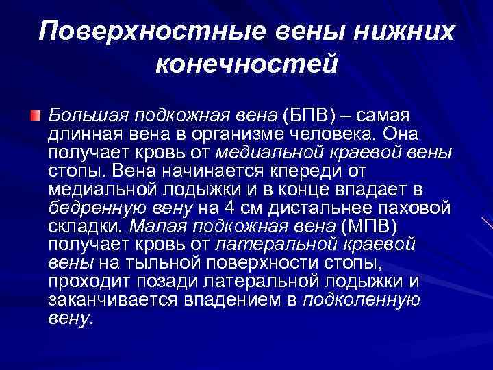 Поверхностные вены нижних конечностей Большая подкожная вена (БПВ) – самая длинная вена в организме