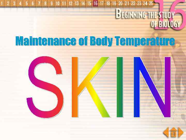 Maintenance of Body Temperature 