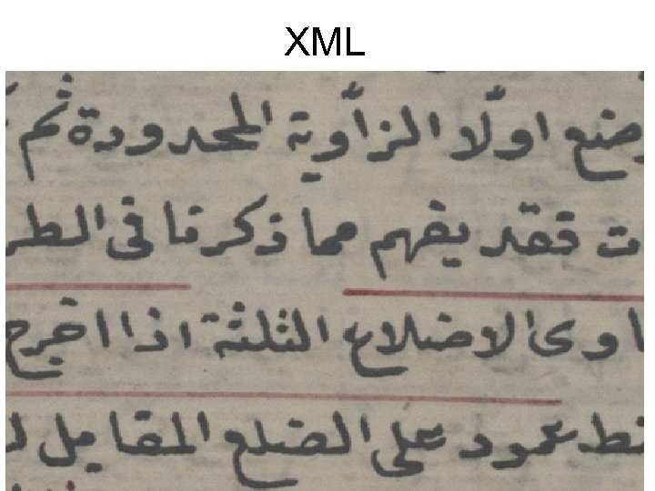 XML 