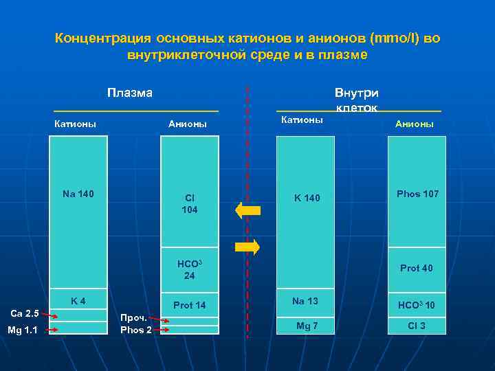 Концентрация основных катионов и анионов (mmo/l) во внутриклеточной среде и в плазме Плазма Катионы