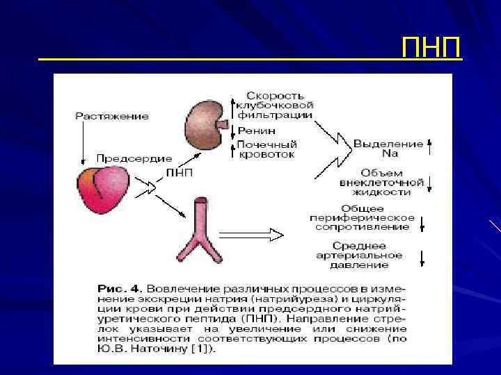 ПНП 