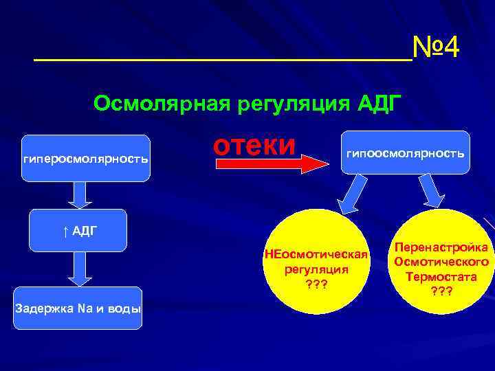 № 4 Осмолярная регуляция АДГ гиперосмолярность отеки гипоосмолярность ↑ АДГ НЕосмотическая регуляция ? ?