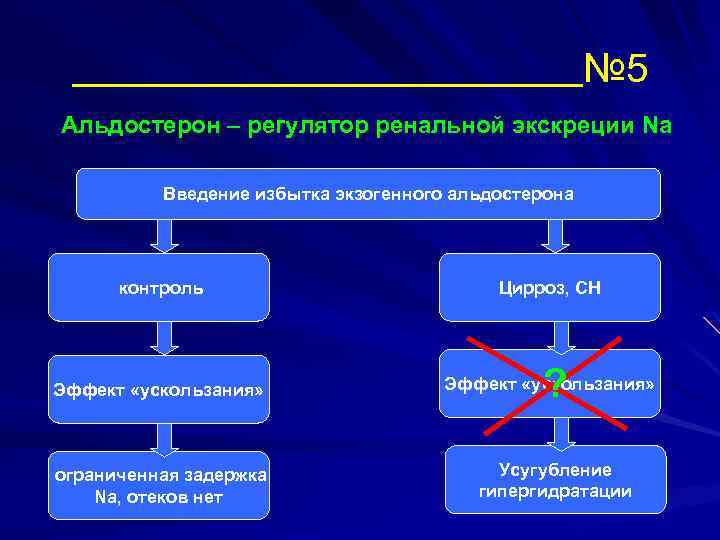 № 5 Альдостерон – регулятор ренальной экскреции Na Введение избытка экзогенного альдостерона контроль Цирроз,