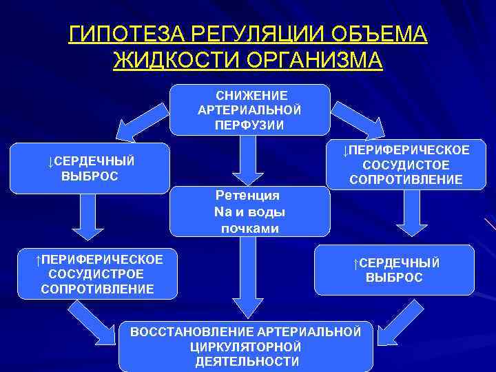 ГИПОТЕЗА РЕГУЛЯЦИИ ОБЪЕМА ЖИДКОСТИ ОРГАНИЗМА СНИЖЕНИЕ АРТЕРИАЛЬНОЙ ПЕРФУЗИИ ↓ПЕРИФЕРИЧЕСКОЕ СОСУДИСТОЕ СОПРОТИВЛЕНИЕ ↓СЕРДЕЧНЫЙ ВЫБРОС Ретенция