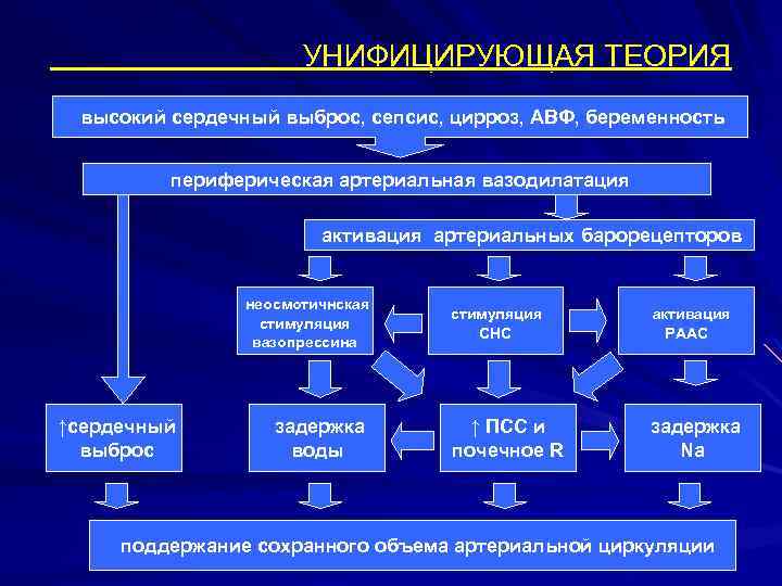 УНИФИЦИРУЮЩАЯ ТЕОРИЯ высокий сердечный выброс, сепсис, цирроз, АВФ, беременность периферическая артериальная вазодилатация активация артериальных