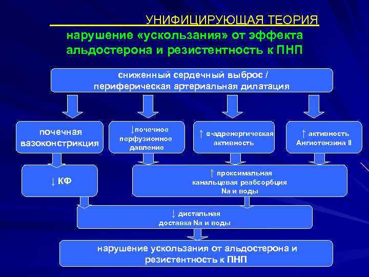 УНИФИЦИРУЮЩАЯ ТЕОРИЯ нарушение «ускользания» от эффекта альдостерона и резистентность к ПНП сниженный сердечный выброс