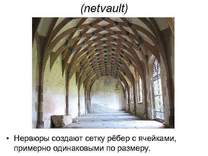 (netvault) • Нервюры создают сетку рёбер с ячейками, примерно одинаковыми по размеру. 