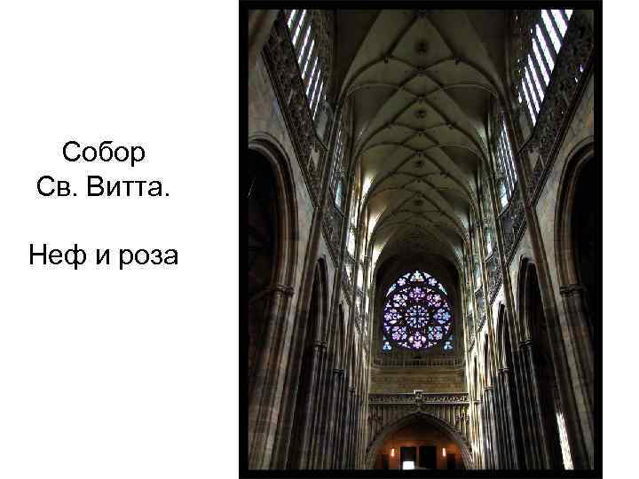 Собор Св. Витта. Неф и роза 