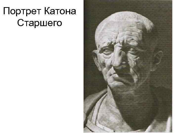 Портрет Катона Старшего 