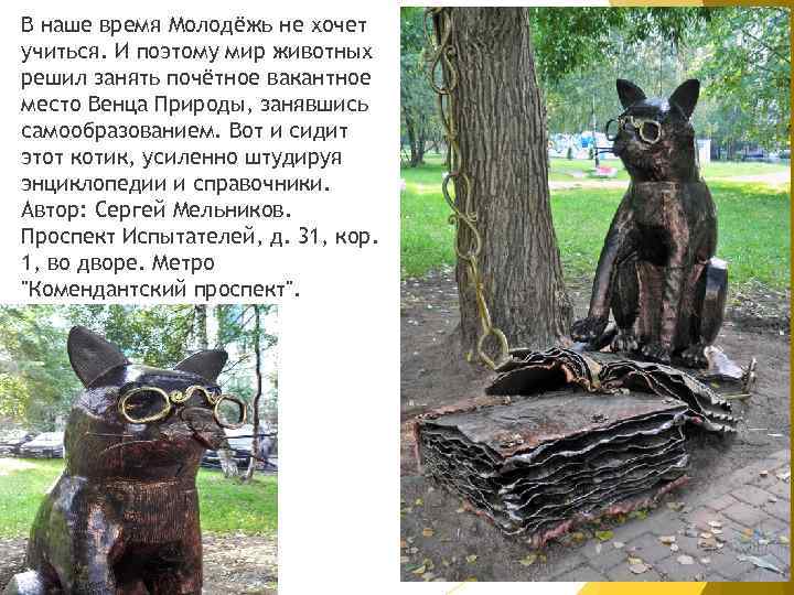 В наше время Молодёжь не хочет учиться. И поэтому мир животных решил занять почётное