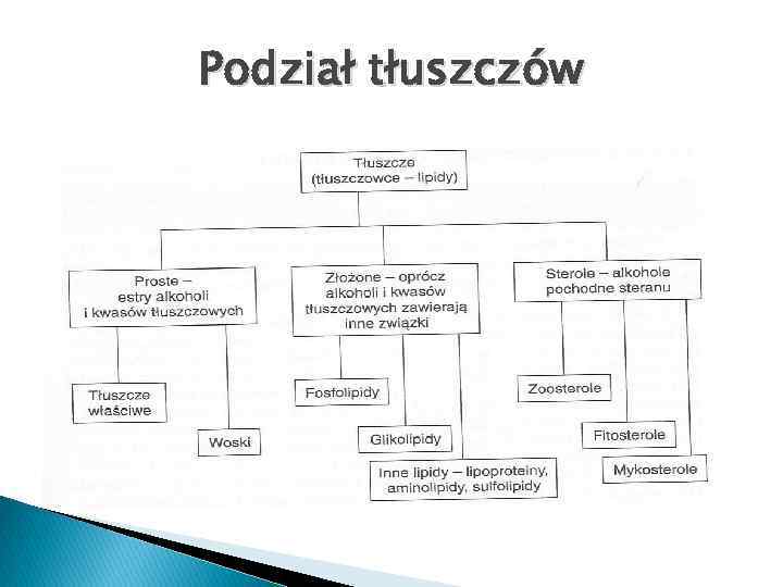Podział tłuszczów 