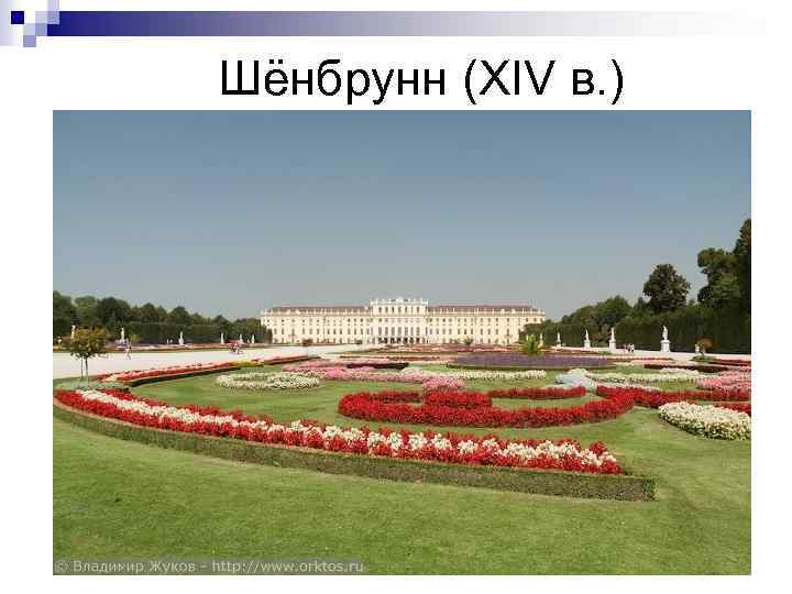 Шёнбрунн (XIV в. ) 