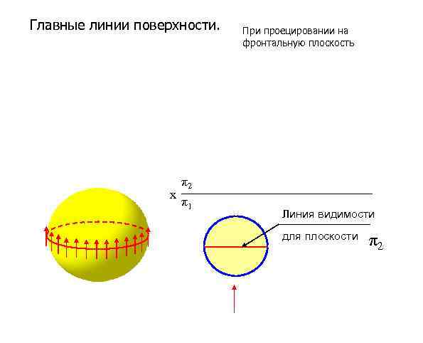 Главные линии поверхности. х При проецировании на фронтальную плоскость π2 π1 Линия видимости для