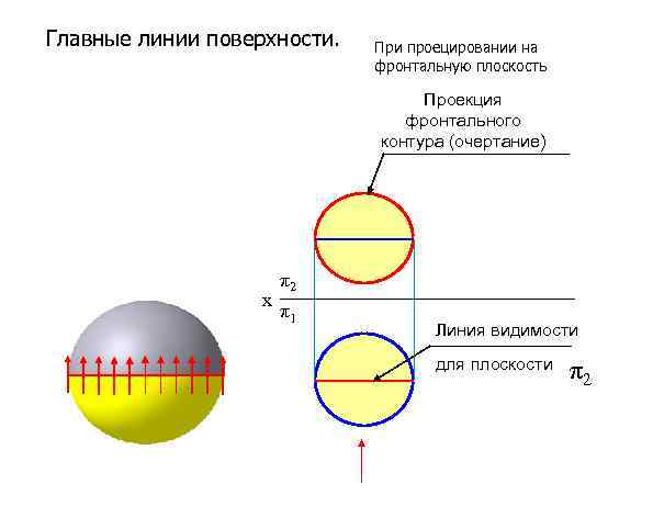 Главные линии поверхности. При проецировании на фронтальную плоскость Проекция фронтального контура (очертание) х π2