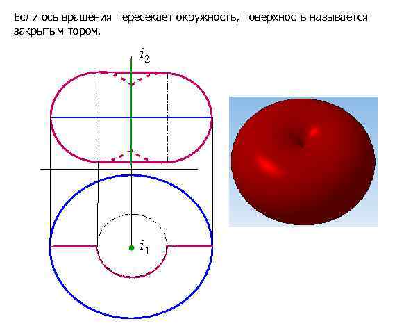 Если ось вращения пересекает окружность, поверхность называется закрытым тором. i 2 i 1 