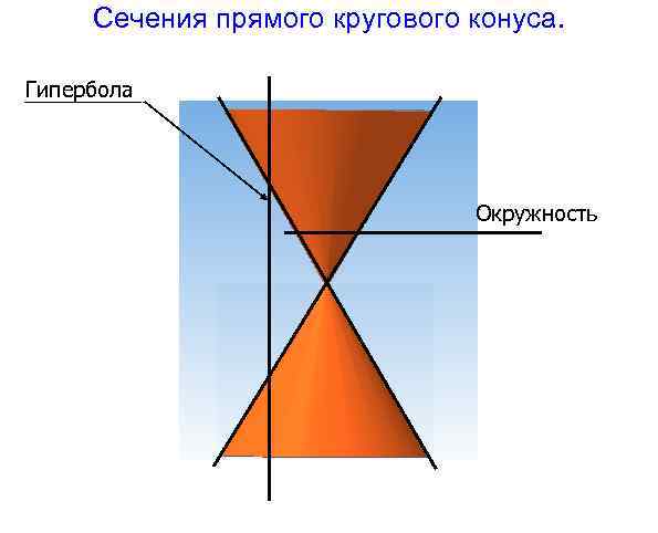 Сечения прямого кругового конуса. Гипербола Окружность 