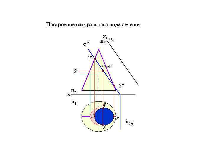 Построение натурального вида сечения Х 1 п 2 п 4 α