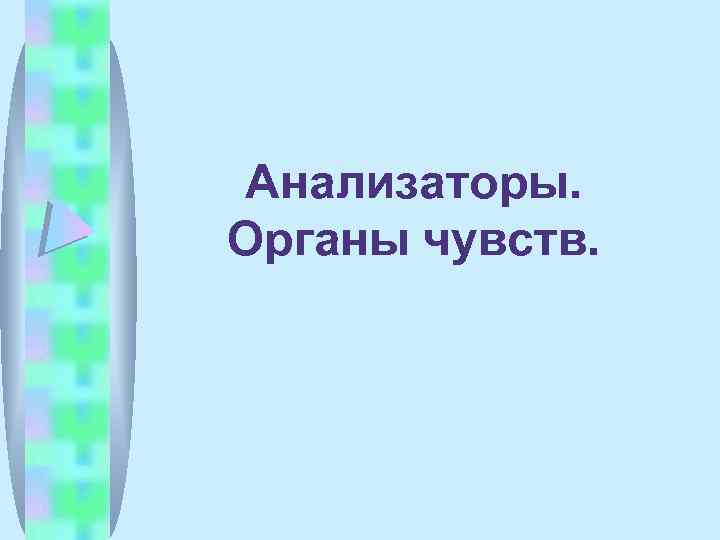 Анализаторы. Органы чувств. 