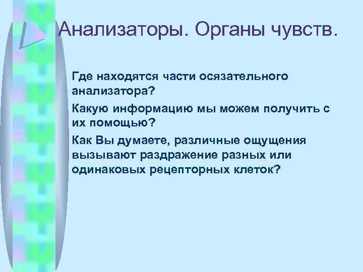Анализаторы. Органы чувств. Где находятся части осязательного анализатора? Какую информацию мы можем получить с