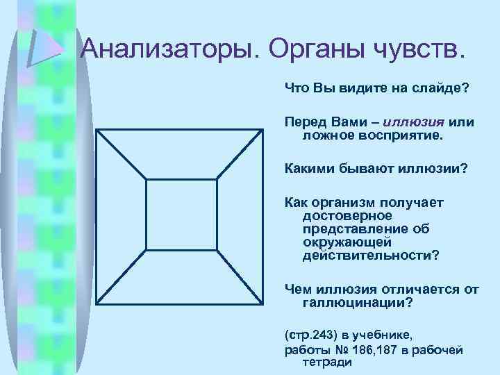 Анализаторы. Органы чувств. Что Вы видите на слайде? Перед Вами – иллюзия или ложное