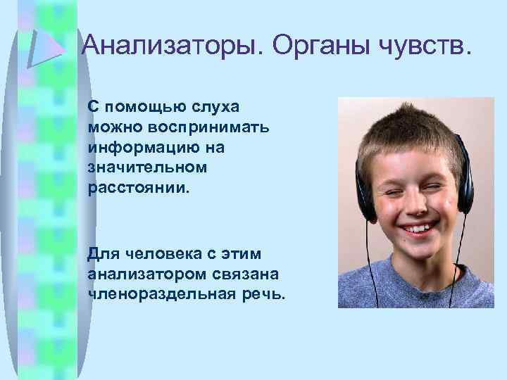 Анализаторы. Органы чувств. С помощью слуха можно воспринимать информацию на значительном расстоянии. Для человека