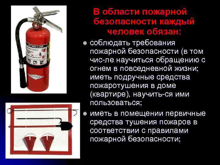 В области пожарной безопасности каждый человек обязан: соблюдать требования пожарной безопасности (в том чис