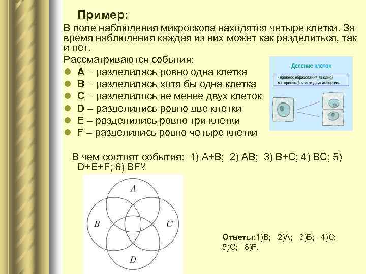  Пример: В поле наблюдения микроскопа находятся четыре клетки. За время наблюдения каждая из
