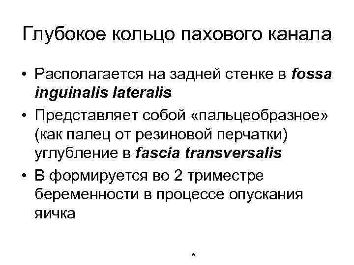 Глубокое кольцо пахового канала • Располагается на задней стенке в fossa inguinalis lateralis •