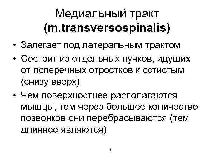 Медиальный тракт (m. transversospinalis) • Залегает под латеральным трактом • Состоит из отдельных пучков,