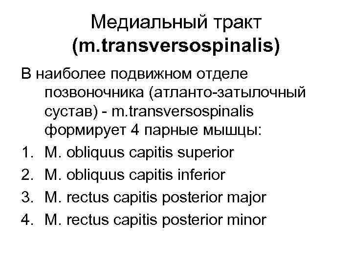 Медиальный тракт (m. transversospinalis) В наиболее подвижном отделе позвоночника (атланто-затылочный сустав) - m. transversospinalis