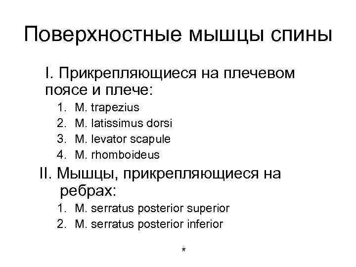 Поверхностные мышцы спины I. Прикрепляющиеся на плечевом поясе и плече: 1. 2. 3. 4.