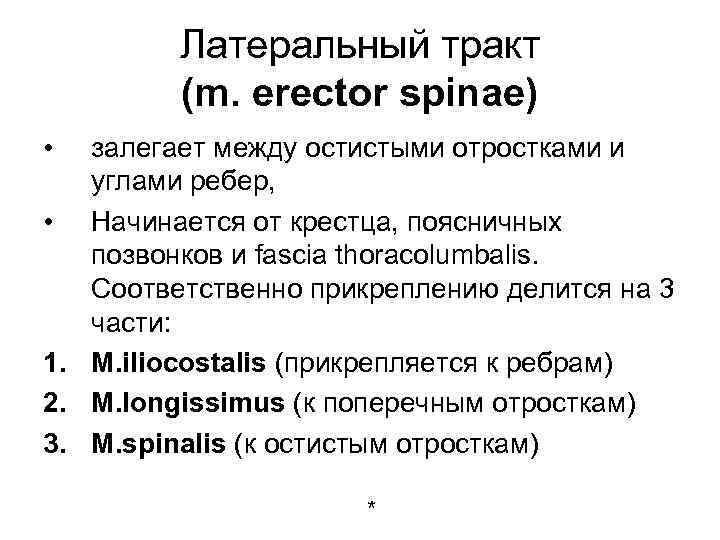 Латеральный тракт (m. erector spinae) • залегает между остистыми отростками и углами ребер, •