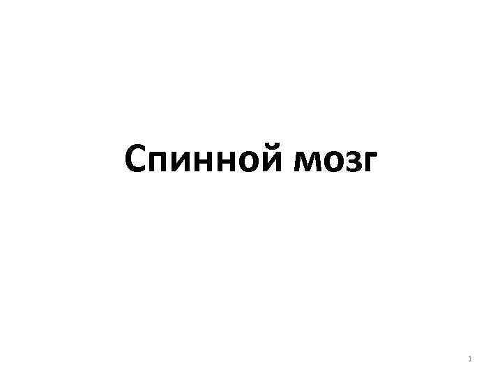 Спинной мозг 1 