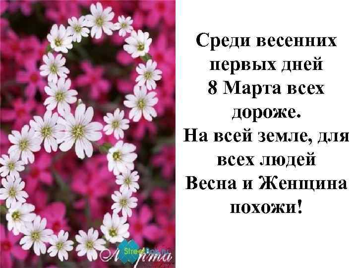 Среди весенних первых дней 8 Марта всех дороже. На всей земле, для всех людей