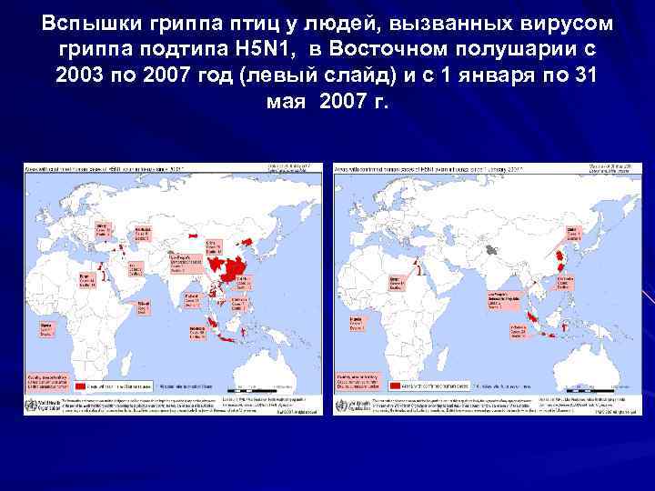 Вспышки гриппа птиц у людей, вызванных вирусом гриппа подтипа H 5 N 1, в