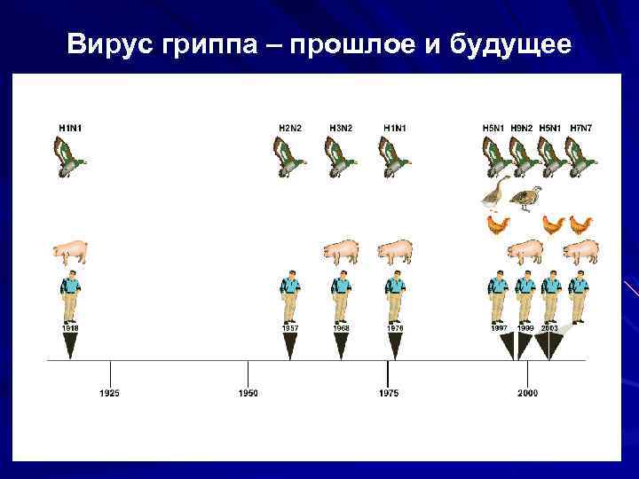 Вирус гриппа – прошлое и будущее 