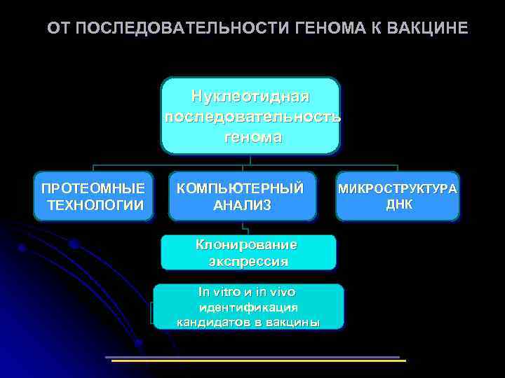 ОТ ПОСЛЕДОВАТЕЛЬНОСТИ ГЕНОМА К ВАКЦИНЕ Нуклеотидная последовательность генома ПРОТЕОМНЫЕ ТЕХНОЛОГИИ КОМПЬЮТЕРНЫЙ АНАЛИЗ Клонирование экспрессия