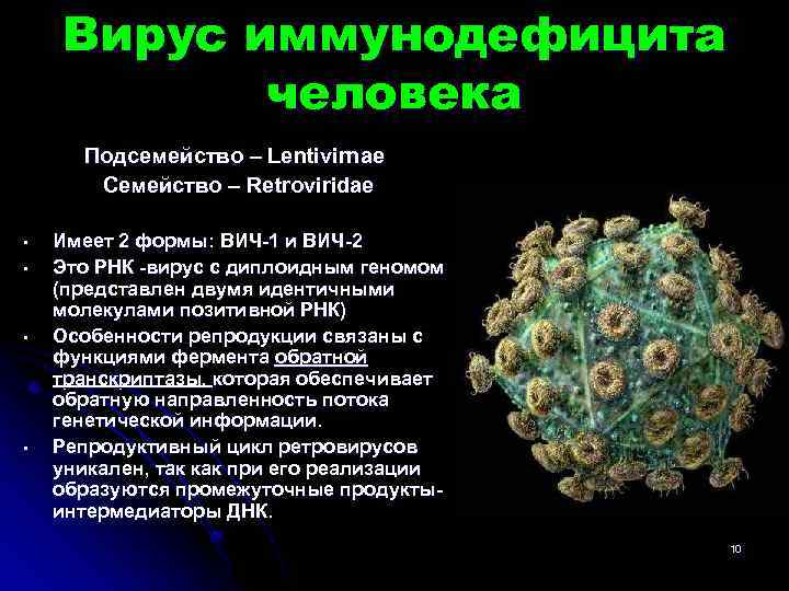 Формы спида. Вирус иммунодефицита человека семейство. Вирус иммунодефицита человека (ВИЧ), семейство Retroviridae. Ретровирус лентивирус. Вирус иммунодефицита человека относится к семейству.