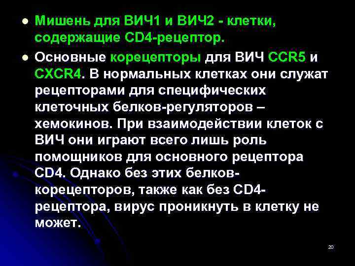 l l Мишень для ВИЧ 1 и ВИЧ 2 - клетки, содержащие CD 4