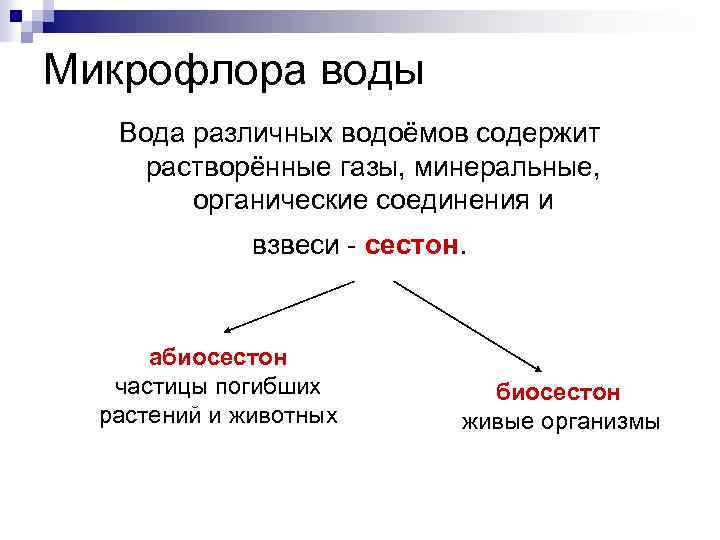 Микрофлора воды презентация